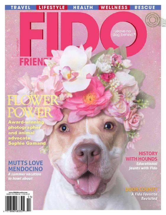 Fido Friendly Magazine